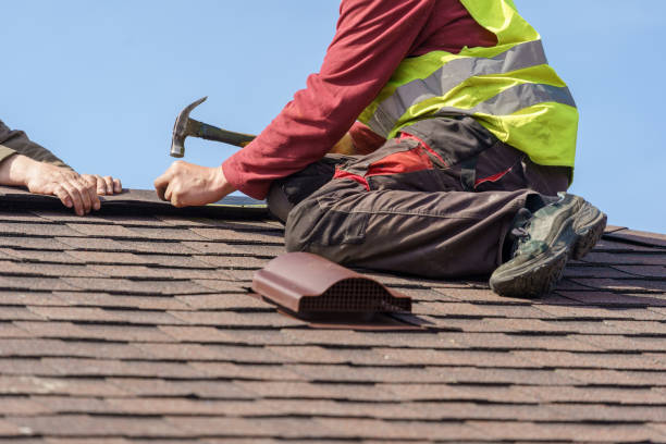 Best Roof Maintenance Services  in Holstein, IA